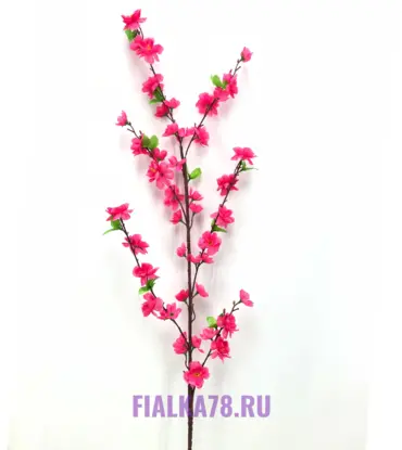 Сакура Высокая