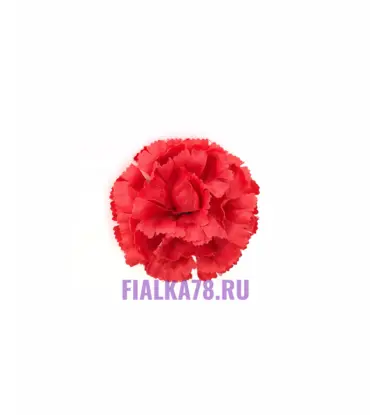 Гвоздика голова