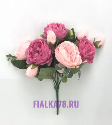Камелия шелковая