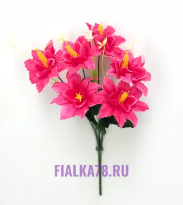 Клематис микс