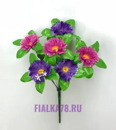 Маргаритка с листом