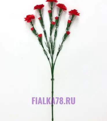 Гвоздика кустовая