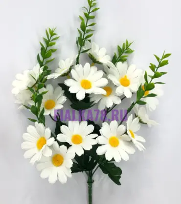 Ромашка кустовая