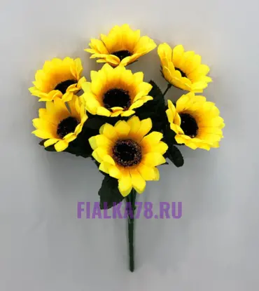 Подсолнух флористический