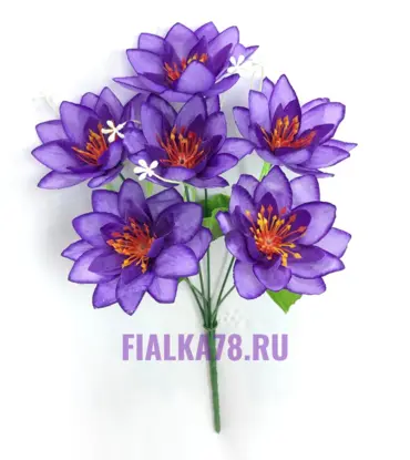 Лотос микс