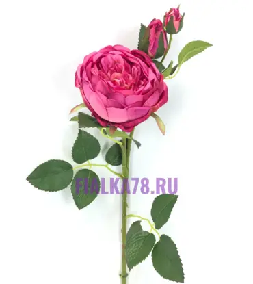 Пион одиночный декор