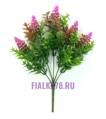 Мускари цветные микс
