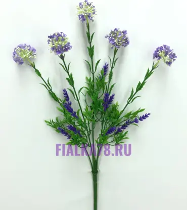 Лук Аллиум