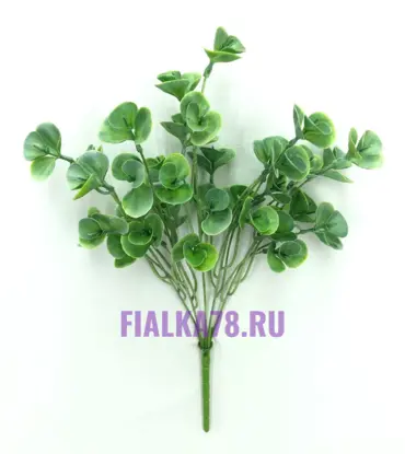 Зелень трава Кувшинки