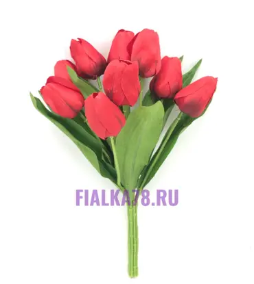 Тюльпан Букетом 9 голов