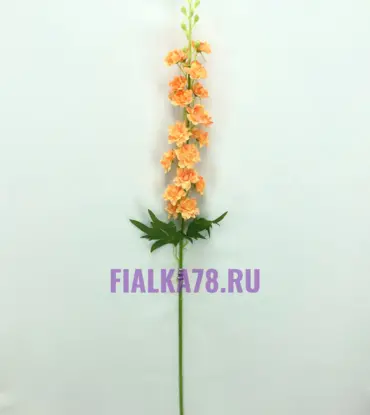 Матиола оранж
