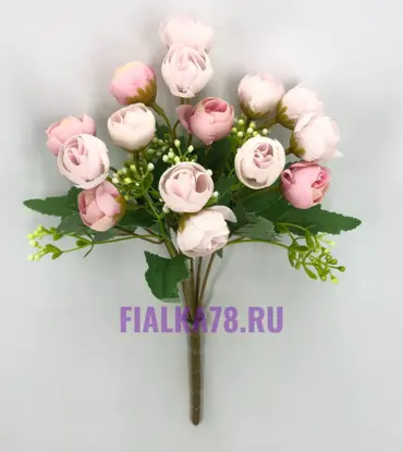 Камелия двухцветная
