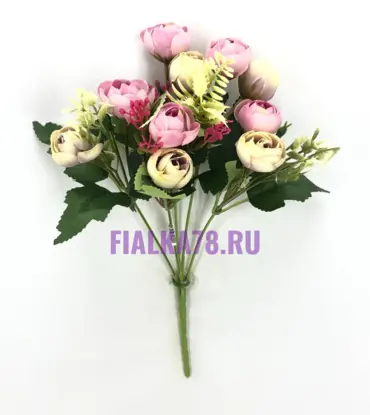 Камелия двухцветная
