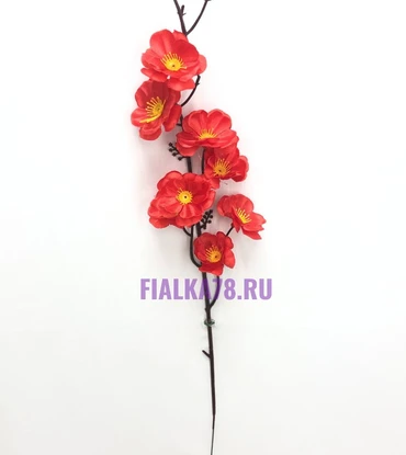 Сакура веточками