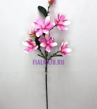 Магнолия средняя ткань
