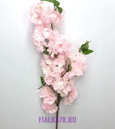 Яблоня веточки Розовые