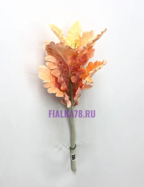 83 (10)