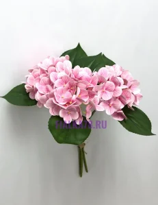 83 (36)