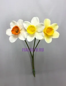 83 (74)