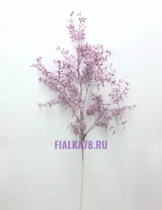 85 (15)