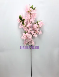85 (20)