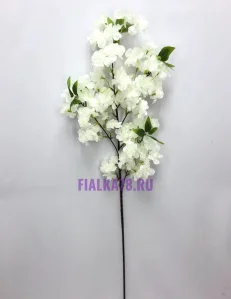 85 (21)