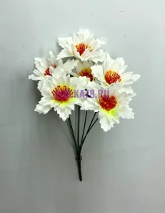 852 (65)
