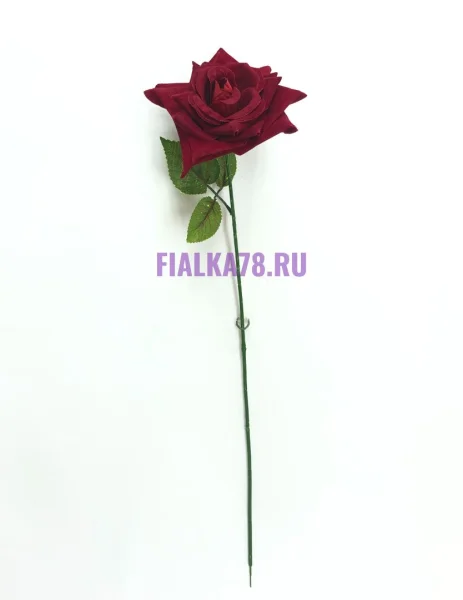Роза одиночная бордо