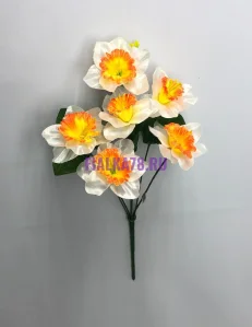 853 (13)