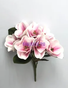 853 (26)