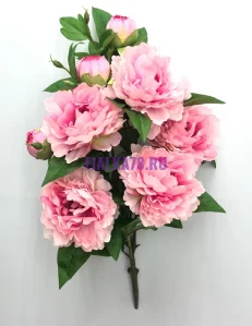 853 (34)