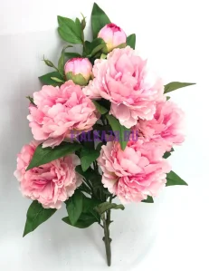 853 (38)