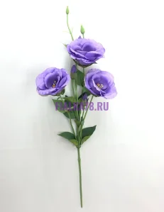 853 (49)