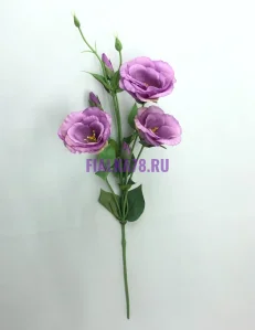 853 (51)
