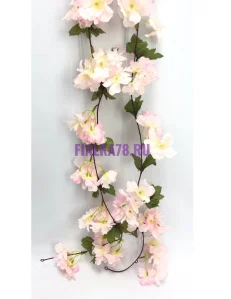 853 - 2024-03-27T171141.905
