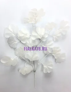 854 (41)