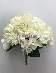 855 (2)