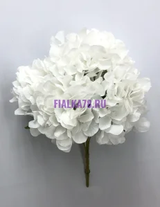 855 (3)