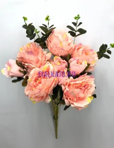 855 (11)