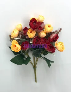 855 (20)