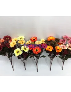 855 (25)