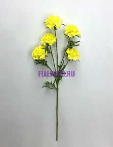 855 (64)