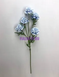 855 (65)