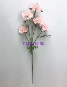 855 (67)