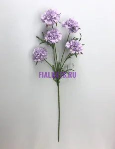 855 (68)