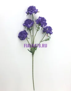 855 (72)