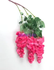 856 (7)