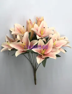 856 (36)