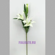 Выставка работ, копия, копия (65)