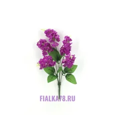 Выставка работ, копия, копия, копия (38)